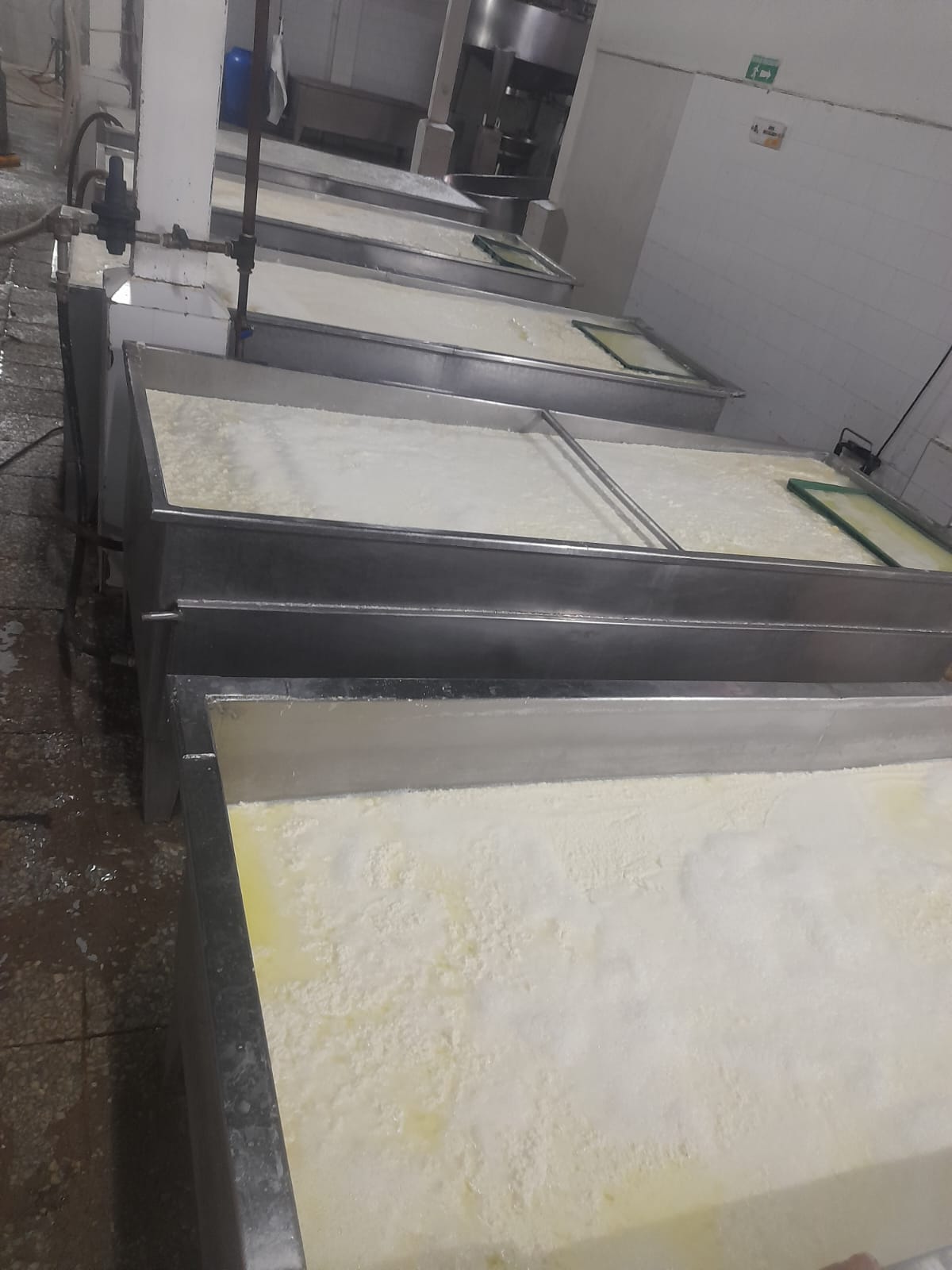 Galería 2